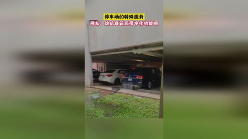 后备箱的秘密 揭秘停车场的“特殊服务”与空气净化新趋势