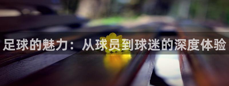 z66体育APP现在