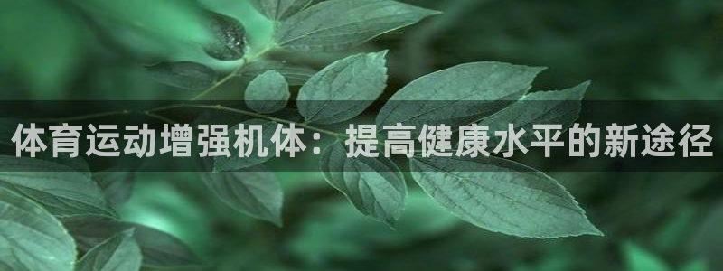 z66体育全站官网