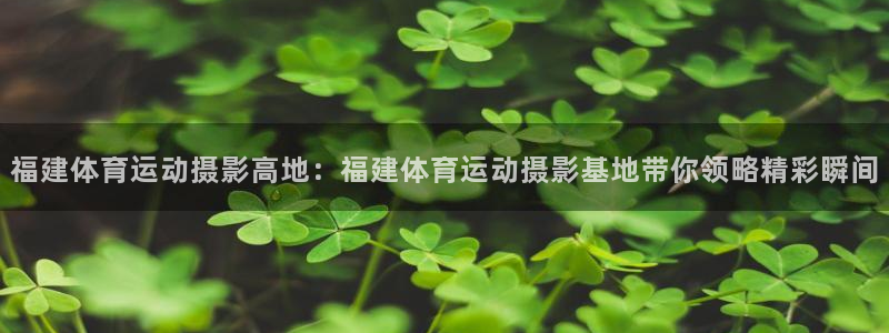 Z66体育APP官方下载入口