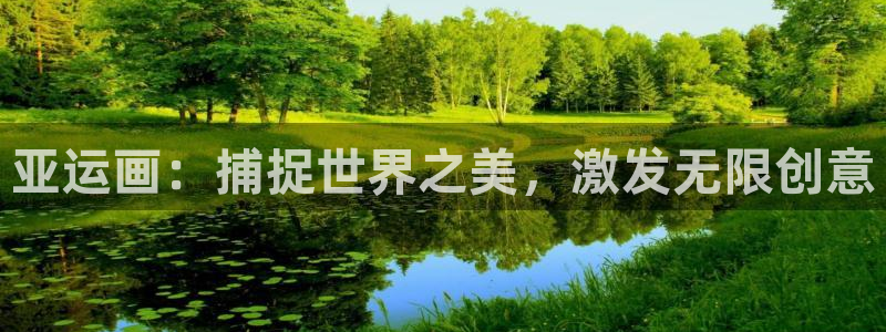 Z66体育官方网站：亚运画：捕捉世界之美，激发无限创意