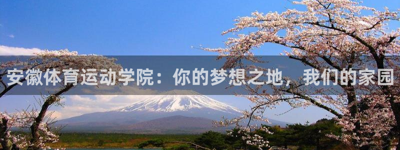 Z66体育APP最新版