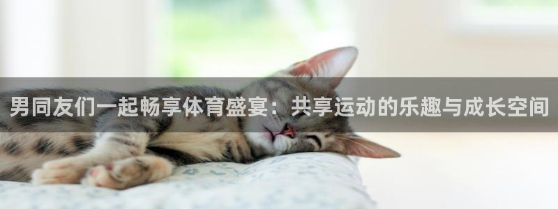 Z66体育APP官方下载入口